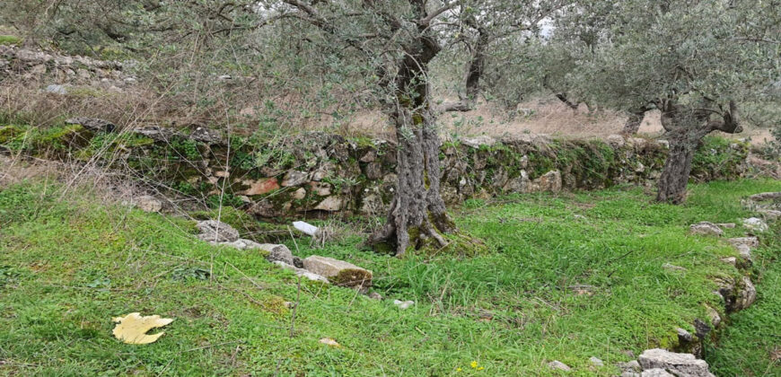 Land for Sale Douma Batroun Area 5294Sqm