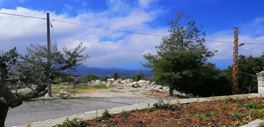 Villa for Sale Aannaya – Kfar Baal Jbeil Housing Area 400Sqm The Area of the Land 1050Sqm