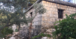 House for Sale Mayfouq Jbeil Housing Area 70Sqm Area Land 4000Sqm