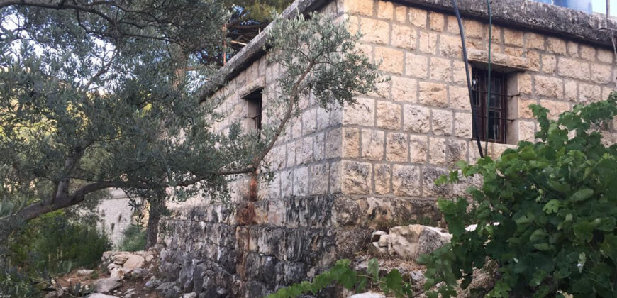House for Sale Mayfouq Jbeil Housing Area 70Sqm Area Land 4000Sqm