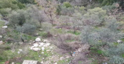 House for Sale Mayfouq Jbeil Housing Area 70Sqm Area Land 4000Sqm
