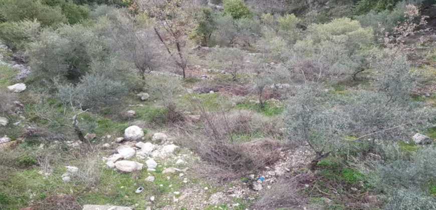 House for Sale Mayfouq Jbeil Housing Area 70Sqm Area Land 4000Sqm