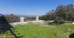 Old House for Sale Mahmerch Batroun Housing Area 100Sqm and Land Area 1290Sqm
