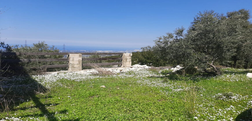 Old House for Sale Mahmerch Batroun Housing Area 100Sqm and Land Area 1290Sqm