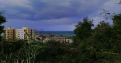 Land for Sale Blat ( Qartaboun ) Jbeil Area 496Sqm
