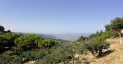 Land for Sale Kfour Kesserwan Area 4689Sqm