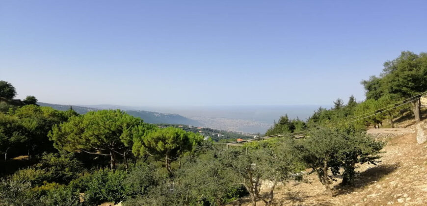 Land for Sale Kfour Kesserwan Area 4689Sqm