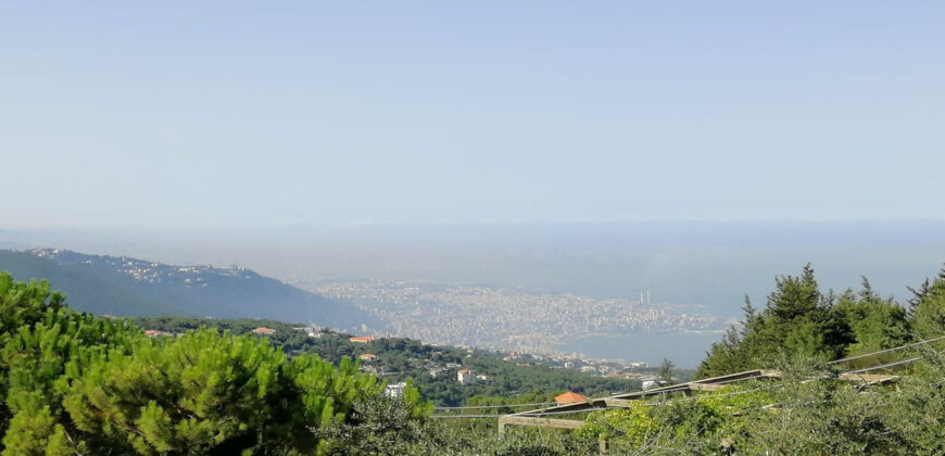 Land for Sale Kfour Kesserwan Area 4689Sqm