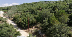 Land for Sale Zan Batroun Area 1630Sqm