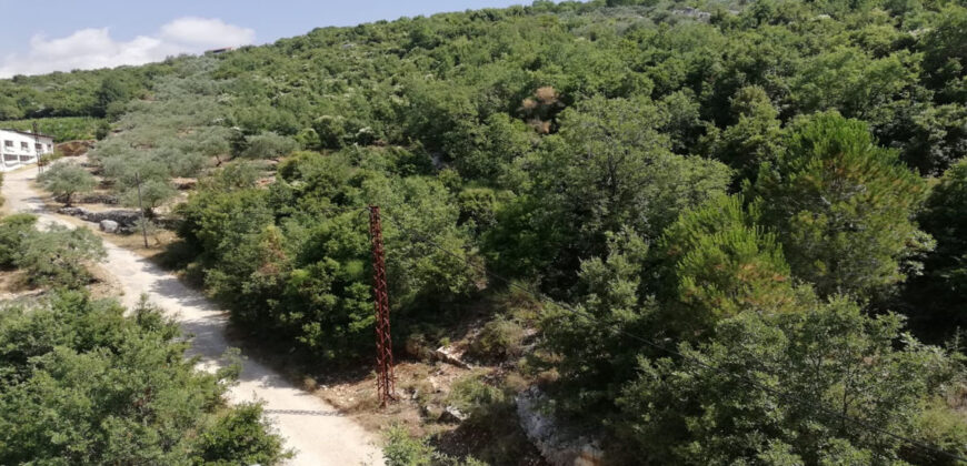 Land for Sale Zan Batroun Area 1630Sqm