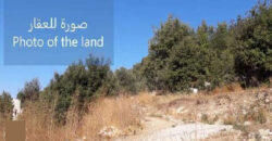 Land for Sale Lehfed Jbeil Area 1093Sqm