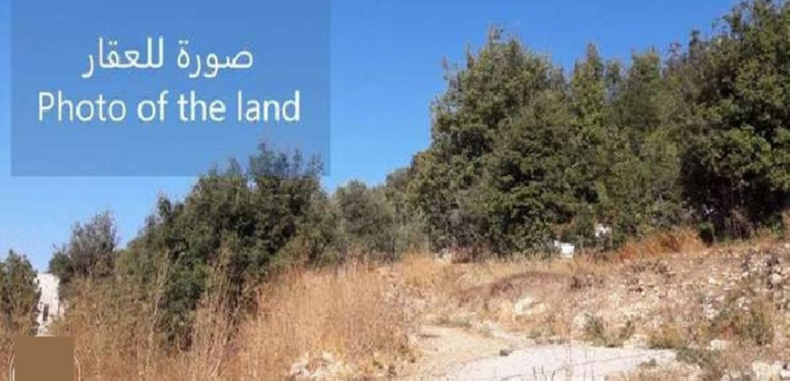 Land for Sale Lehfed Jbeil Area 1093Sqm