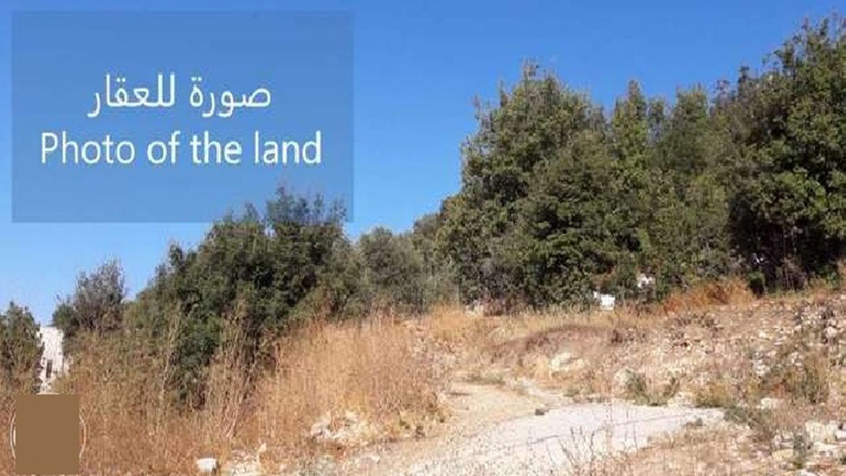 Land for Sale Lehfed Jbeil Area 1093Sqm
