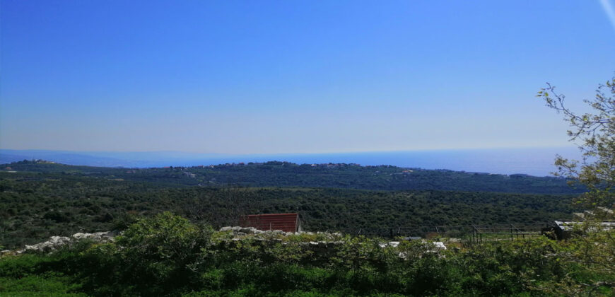 Land for Sale Bekhaaz Jbeil Area 1265Sqm