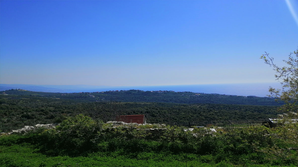 Land for Sale Bekhaaz Jbeil Area 1265Sqm