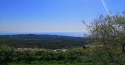 Land for Sale Bekhaaz Jbeil Area 1265Sqm