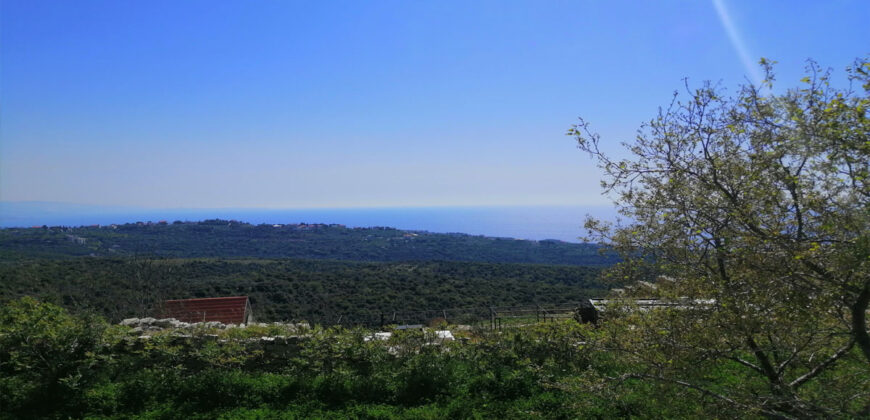 Land for Sale Bekhaaz Jbeil Area 1265Sqm