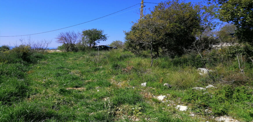 Land for Sale Bekhaaz Jbeil Area 1265Sqm