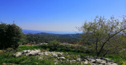 Land for Sale Bekhaaz Jbeil Area 1265Sqm