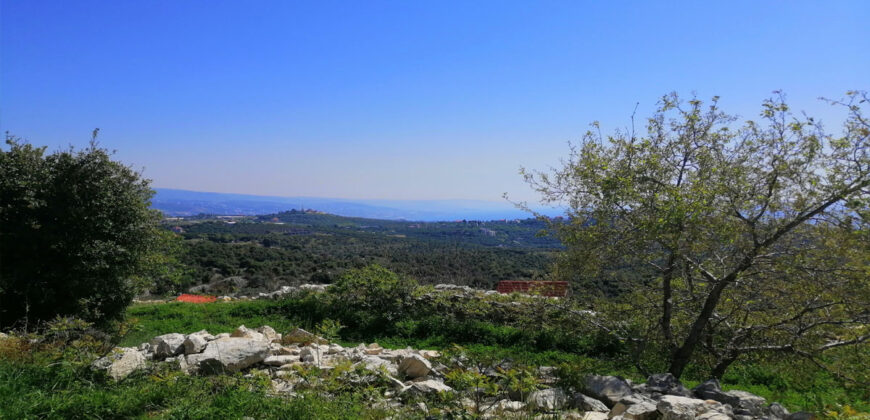 Land for Sale Bekhaaz Jbeil Area 1265Sqm