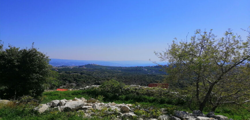 Land for Sale Bekhaaz Jbeil Area 1265Sqm