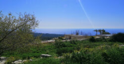Land for Sale Bekhaaz Jbeil Area 1265Sqm