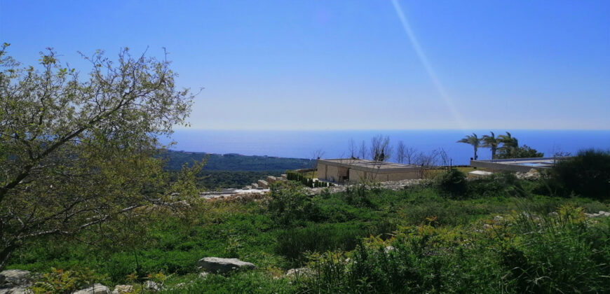 Land for Sale Bekhaaz Jbeil Area 1265Sqm