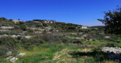Land for Sale Bekhaaz Jbeil Area 1265Sqm