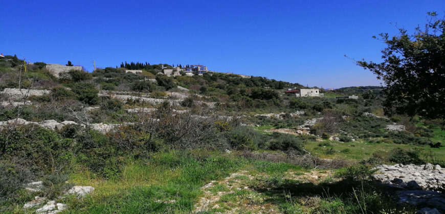Land for Sale Bekhaaz Jbeil Area 1265Sqm
