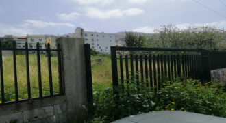 Land for Sale Halat Jbeil Area 1260Sqm
