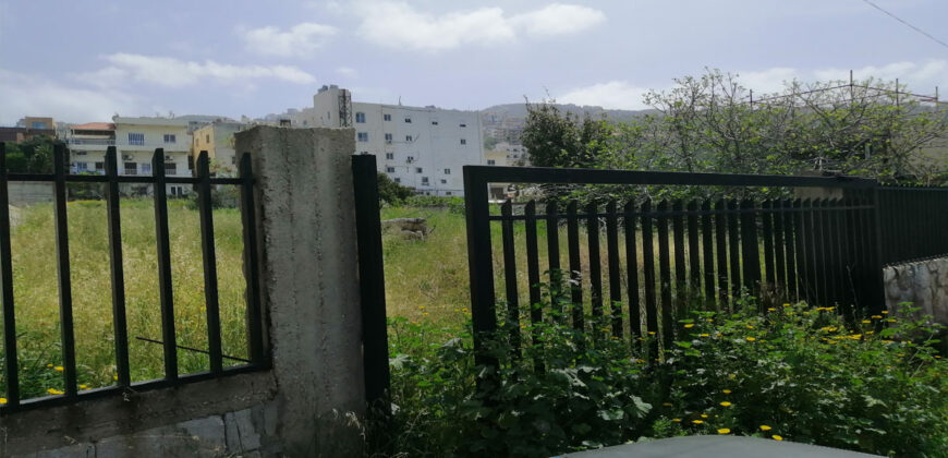 Land for Sale Halat Jbeil Area 1260Sqm
