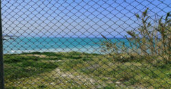 Land for Sale Halat Jbeil Area 1260Sqm