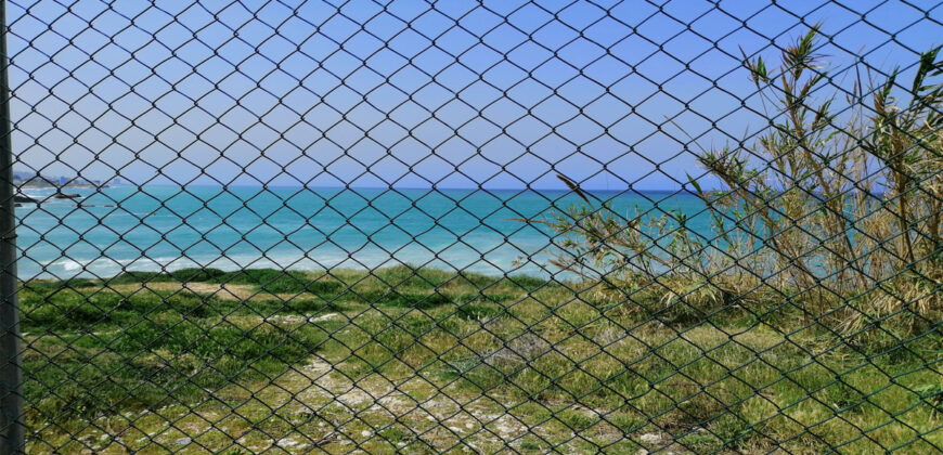 Land for Sale Halat Jbeil Area 1260Sqm
