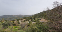 Land for Sale Douma Batroun Area 1202Sqm