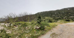 Land for Sale Douma Batroun Area 1202Sqm