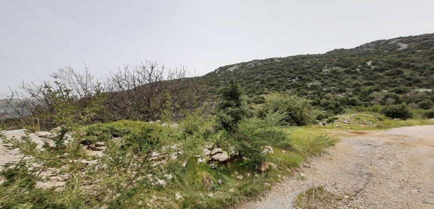 Land for Sale Douma Batroun Area 1202Sqm