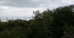 Land for Sale Fidar ( Halat ) Jbeil Area 860Sqm
