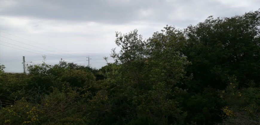 Land for Sale Fidar ( Halat ) Jbeil Area 860Sqm