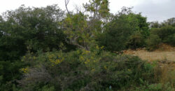 Land for Sale Fidar ( Halat ) Jbeil Area 860Sqm