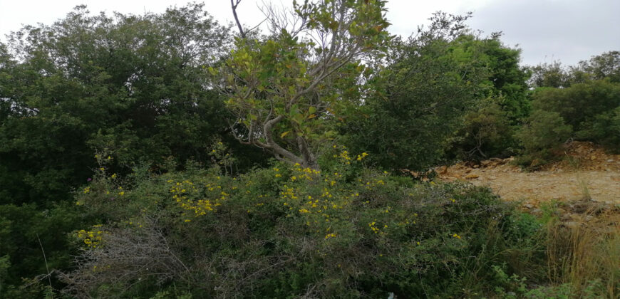 Land for Sale Fidar ( Halat ) Jbeil Area 860Sqm