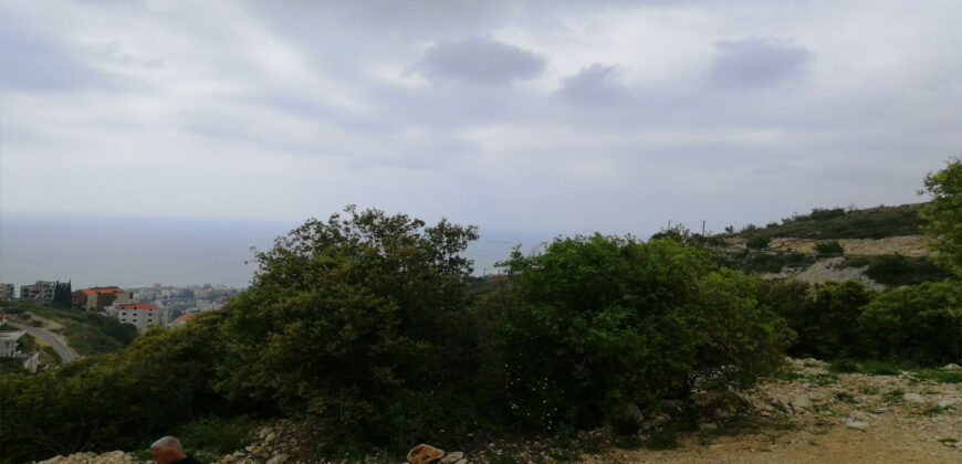 Land for Sale Fidar ( Halat ) Jbeil Area 1014Sqm