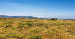 Land for Sale Tannourine – Faouqa – ( Msateb -Ain Et Tillaje ) Batroun Area 2000Sqm