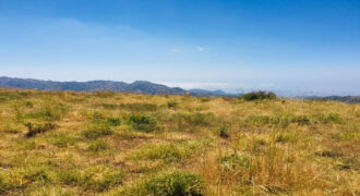 Land for Sale Tannourine – Faouqa – ( Msateb -Ain Et Tillaje ) Batroun Area 2000Sqm