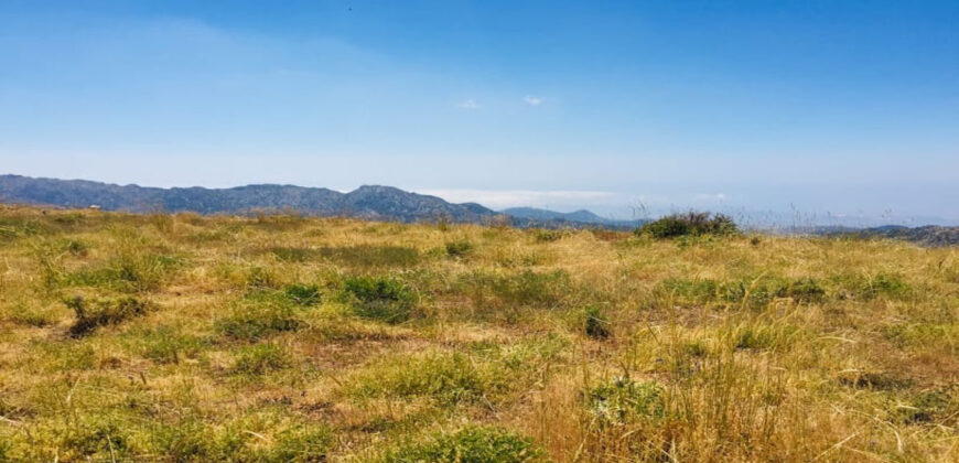 Land for Sale Tannourine – Faouqa – ( Msateb -Ain Et Tillaje ) Batroun Area 2000Sqm