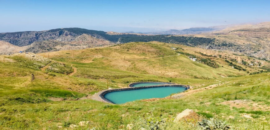 Land for Sale Tannourine – Faouqa – ( Msateb -Ain Et Tillaje ) Batroun Area 2000Sqm