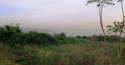 Land for Sale Adma Kesserwan Area 1183Sqm