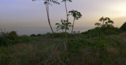 Land for Sale Adma Kesserwan Area 1183Sqm