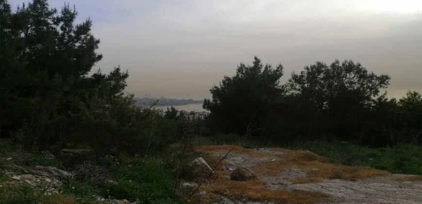 Land for Sale Chnaneir Kesserwan Area 1258Sqm