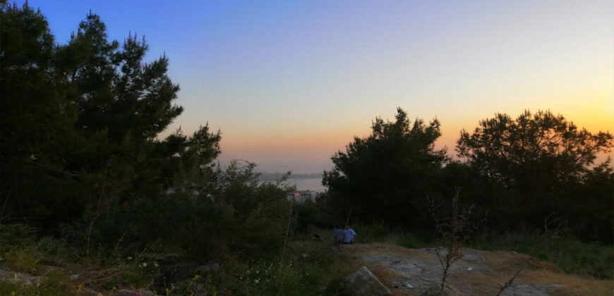 Land for Sale Chnaneir Kesserwan Area 1258Sqm