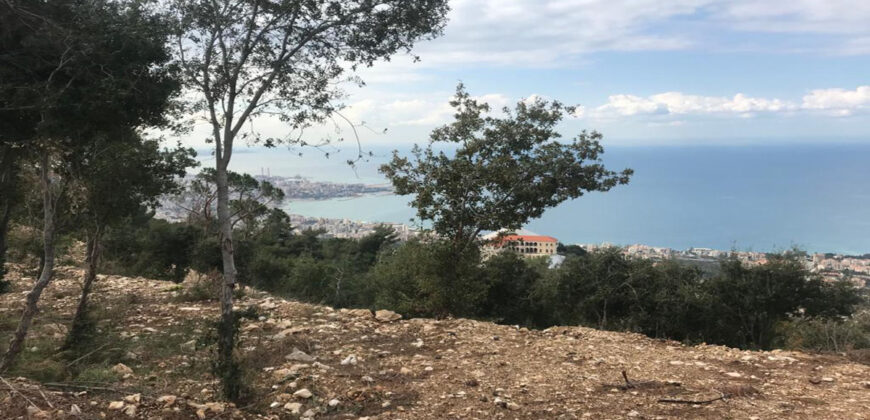 Land for Sale Chnaneir Kesserwan Area 1050Sqm